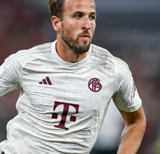 明星球员状 明星球员状