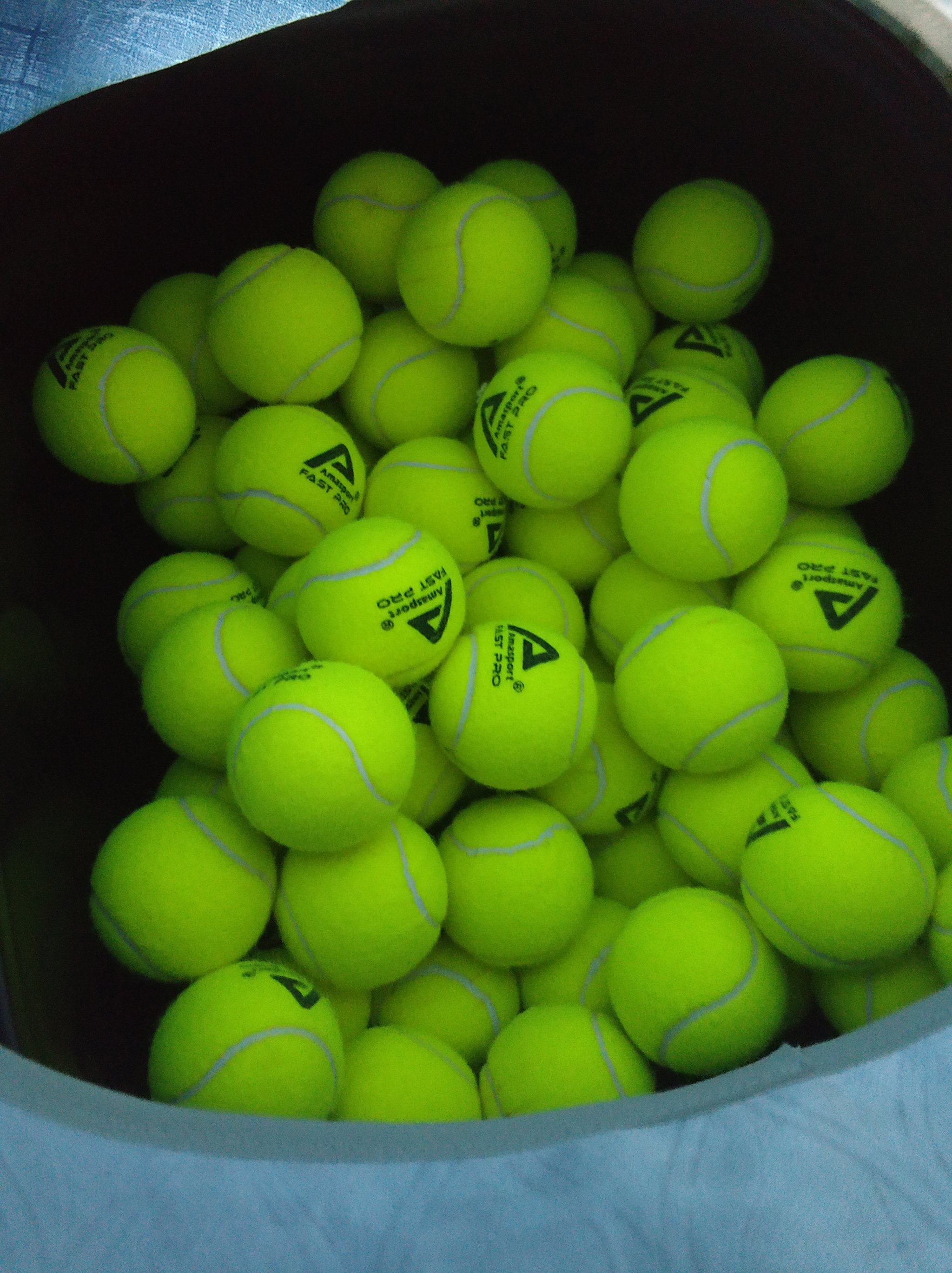 一线球员的 一线球员的